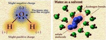 Illustration for article titled Why do we look for water when searching for extraterrestrial life?